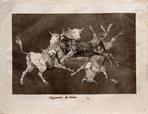 श्रृंखला लॉस फुलपेरेट्स फोल्स, 1815-1819 से मूर्खतापूर्ण द्वारा फ़्रांसिस्को डी गोया