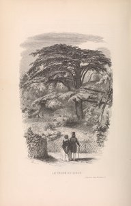 बॉटनिकल गार्डन, डिस्क्रिप्शन एंड मैनर्स ऑफ़ मैमल्स, 1842।