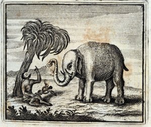 हाथी और बृहस्पति का बंदर। जीन डे ला फोंटेन द्वारा दंतकथाएं (1621-95)। फ्रांकोइस चौवेउ (1613-1676) द्वारा चित्रण। 1728 का संस्करण।