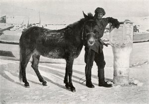 ग्रैन विद मूल लाल खान, c1911, 1913 द्वारा फ्रैंक देबनेहम