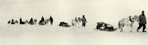 मार्च, 1911, 1913 को पोंजी द्वारा फ्रैंक देबनेहम