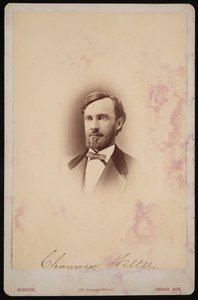 चौंसी विल्टसे का पोर्ट्रेट 1834-1894, 1875-1876। द्वारा फ्रैंक एफ कैरियर