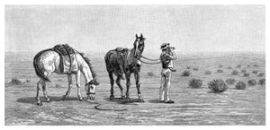 कुछ भी नहीं, दृष्टि, 1886 में। द्वारा फ्रैंक पी। महोनी