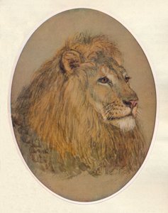 लायंस हेड, सी 1896
