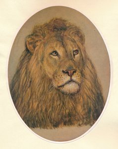 लायंस हेड, सी 1896