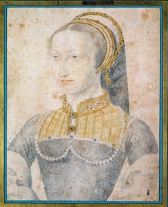 अल्ब्रेट के जोन का पोर्ट्रेट, नवरे की रानी (1528 - 1572), हेनरी चतुर्थ की मां। फ्रेंकोइस क्लॉएट द्वारा काले पत्थर और रक्त के साथ चित्र बनाना (1515-1572) द्वारा फ्रांकोइस क्लाउड