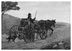 एक Colac Rabbit Trapper, 1886।