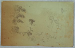  द्वारा फ्रेडरिक एडविन चर्च