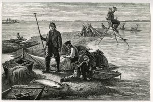 सामन मछली पकड़ना। 1884 में चार्ल्स ग्रैड (1842-1890), जर्मन प्रतिनियुक्त, लेखक और प्रकृतिवादी द्वारा "थ्रू अलसैस एंड लोरेन" कहानी को चित्रित करने के लिए F.Lix द्वारा उत्कीर्णन। ले टूर डू मोंडे में प्रकाशित, नोव्यू जर्नल डेस वॉयेज, दूसरा सेमेस्टर  द्वारा फ्रेडरिक थियोडोर लिक्स
