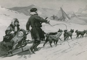 Samoyedes द्वारा फ़्रेडरिक डी हेनेन