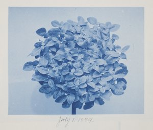 शीर्षकहीन, 1 जुलाई