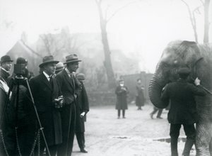 एक भारतीय हाथी, संभवतः सुंदरमल, लंदन चिड़ियाघर, 1925 से एक बाहरी प्रसारण में भाग लेता है द्वारा फ्रेडरिक विलियम बॉन्ड