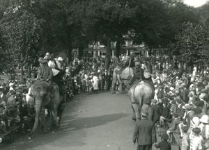 अगस्त 1926 में लंदन चिड़ियाघर में दर्शकों की भीड़ द्वारा देखे गए तीन एशियाई हाथियों के साथ हाथी की सवारी (b/w photo) द्वारा फ्रेडरिक विलियम बॉन्ड