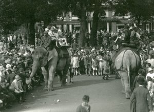 अगस्त 1926 में लंदन चिड़ियाघर में दर्शकों की भीड़ द्वारा देखे गए दो एशियाई हाथियों के साथ हाथी की सवारी (b/w photo) द्वारा फ्रेडरिक विलियम बॉन्ड