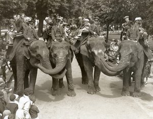 हाथी जुलाई 1936 को लंदन चिड़ियाघर में सवारी करता है द्वारा फ्रेडरिक विलियम बॉन्ड