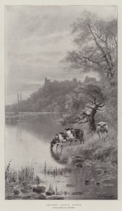 अरुंडेल कैसल, ससेक्स