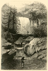 ब्लैकवाटर का जलप्रपात, 1872। द्वारा फ्रेडरिक विलियम क्वार्टली