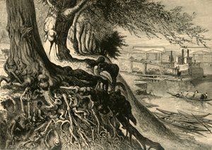 द सवाना, अगस्ता में, 1872।