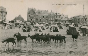 मर्स - समुद्र तट का एक हिस्सा। 1913 में पोस्टकार्ड भेजा गया। द्वारा फ्रेंच फोटोग्राफर