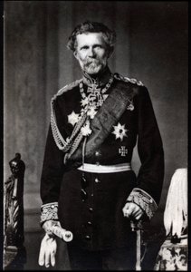 एडविन बैरन वॉन मोन्तेफेल (1809-1895), जर्मन फील्ड मार्शल का चित्र द्वारा फ्रेंच फोटोग्राफर