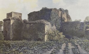 टिफ़गेस, रुइन्स ऑफ़ द कैसल, व्यू आंगन से लिया गया है द्वारा फ्रेंच फोटोग्राफर
