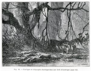 एक अमेरिकी जंगल में एक इलेक्ट्रिक टेलीग्राफ लाइन, c.1870 (उत्कीर्णन) द्वारा फ्रेंच स्कूल