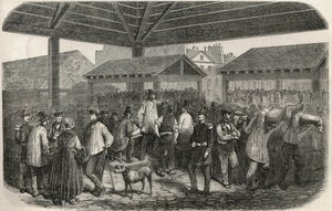 एडमंड टेक्सियर 1852 द्वारा "झांकी-डी-पेरिस" में उत्कीर्णन - पेरिस के I arrondissement में rue des Prouvaires बाजार में कसाई का मांस बनाता है द्वारा फ्रेंच स्कूल