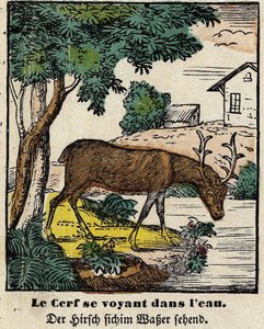 Fables de La Fontaine: हिरण खुद को पानी में देख रहा है। एपिनल की छवि, १९वीं सदी की पहली छमाही द्वारा फ्रेंच स्कूल