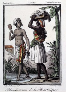 फ्रांसीसी उपनिवेश: मार्टीनिक से वेस्ट इंडीज तक के व्हाइटनर। १८०५ से उत्कीर्णन। चार्टर्स, ललित कला संग्रहालय Museum द्वारा फ्रेंच स्कूल