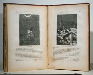 जूल्स वर्ने (1828-1905) द्वारा चंद्रमा के गोल से चित्र द्वारा फ्रेंच स्कूल