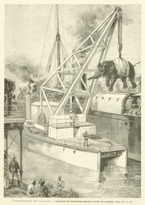 Embarquement Des हाथी (उत्कीर्णन) द्वारा फ्रेंच स्कूल