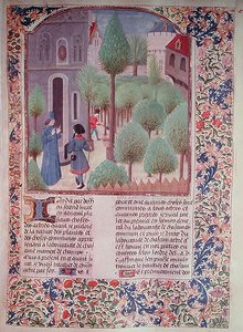 सुश्री 5064 fol.105r पिएत्रो डे क्रेस्केंज़ी (1230-132021) द्वारा Livre des Prouffitz Champestres से वृक्षारोपण द्वारा फ्रेंच स्कूल
