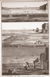 Peche de Mer - Trameau - Waterbird Fishing - "" द ग्रेट इनसाइक्लोपीडिया, या Dictionnaire Raisonne des Sciences, des Arts et des Metiers" (एनसाइक्लोपीडिया या डिक्शनरी ऑफ द साइंसेज, आर्ट्स एंड प्रोफेशन) डेनिस डाइडरोट (1713-1784) और जीन डी द्वा द्वारा फ्रेंच स्कूल