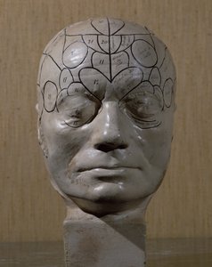 जीन मार्टिन चारकोट (चीनी मिट्टी) द्वारा Phrenological प्रमुख द्वारा फ्रेंच स्कूल