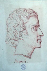 फ्रेंकोइस विंसेंट रास्पेल का पोर्ट्रेट (1794-1878) (कागज पर लाल चाक) द्वारा फ्रेंच स्कूल