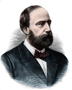 हेनरी चार्ल्स फर्डिनेंड मैरी डियूडोन डी'आर्टोइस (1820-1883), ड्यूक ऑफ बोर्डो, काउंट ऑफ चंबर्ड का पोर्ट्रेट, जिसे हेनरी वी के नाम से जाना जाता है, जो फ्रांस के सिंहासन का नाटक करता है। हेनरी मार्टिन द्वारा "" L'Histoire de France populaire द्वारा फ्रेंच स्कूल