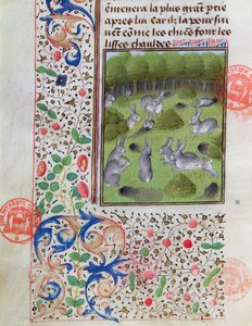 गैबॉन फेबस डी फिक्स (1331-91) की शिकार की किताब से खरगोश वॉरेन द्वारा फ्रेंच स्कूल