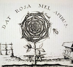 Rosicrucian Allegory, Johann Theodore de Bry (c.1598) द्वारा उत्कीर्णन की प्रतिलिपि, इतिहास के जादू में प्रयुक्त, 19 वीं सदी के अंत में प्रकाशित द्वारा फ्रेंच स्कूल