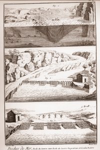 सैल्मन मछली पकड़ने की तकनीक - डेनिस डाइडरोट (1713-1784) और जीन डी'अलेम्बर्ट (1717-1783) द्वारा विश्वकोश या विज्ञान, कला और व्यवसायों का शब्दकोश द्वारा फ्रेंच स्कूल