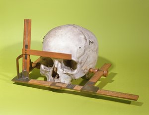 पॉल ब्रोका (1824-88) (लकड़ी और तांबे) द्वारा निर्मित फेशियल गोनियोमीटर में खोपड़ी