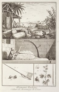 एनी प्रोवोस्ट (fl.1834-55), c.1760 द्वारा उत्कीर्ण डेनिस डिडरोट (1713-84) द्वारा विश्वकोश से कपास की खेती द्वारा फ्रेंच स्कूल