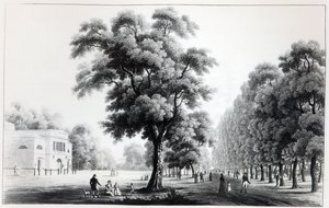 प्रेटार, वियना, 1821 में मुख्य एवेन्यू द्वारा फ्रेंच स्कूल