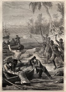 ये इतने करीब से प्रदान किए गए थे ...: कप्तान जेम्स कुक की यात्रा (1728-1779) न्यूजीलैंड में 1769 में - न्यूजीलैंड के नैसर्गिक हमले कुक के चालक दल के किनारे पर उनके दृष्टिकोण पर - चित्रण "18 वीं शताब्दी के महान नाविकों" से लिया गया। " द्वारा फ्रेंच स्कूल