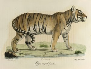  द्वारा फ्रेंच स्कूल