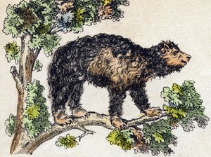 ऊना (आलसी)। "" Alphabet des animaux sauvages" में उत्कीर्णन। नौवीं श्रृंखला। एपिनल, पेलरिन, प्रिंटर-प्रकाशक, लगभग 1870 की इमेजरी। लकड़ी पर उत्कीर्णन, स्टेंसिल। 16 पृष्ठ। मंद: 20 x 15 सेमी। निजी संग्रह द्वारा फ्रेंच स्कूल