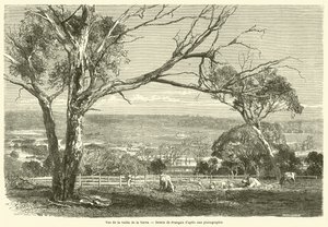 Vue de la vallee de la Yarra (उत्कीर्णन) द्वारा फ्रेंच स्कूल