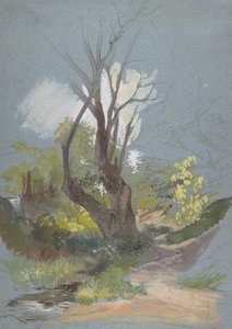 एक पेड़ के साथ माउंटेन पाथ, 1820-78। द्वारा फ्रेडरिक नेर्ले