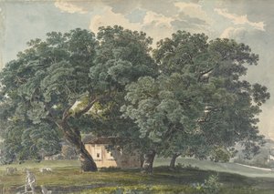 ट्री रेक्टो के साथ इतालवी लैंडस्केप, 1815-21।