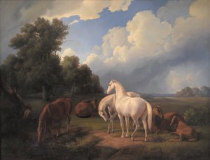 लूसिया, व्हिम्सी, बेलोना, हर्था, ओल्गा