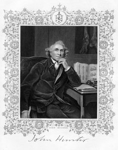 जॉन हंटर 1728-1793, स्कॉटिश सर्जन, 19 वीं सदी। द्वारा जीएच एडकॉक